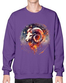 aries 125# - aries- Sweatshirt - Crew