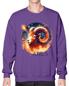 aries 130# - aries- Sweatshirt - Crew
