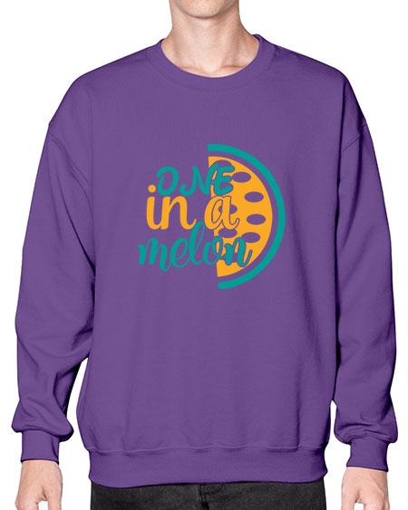 one in a melon Style 83# - summer- Sweatshirt - Crew