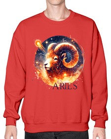 aries 130# - aries- Sweatshirt - Crew