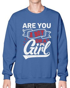Are you a boy or a girl 2# - video games- Sweatshirt - Crew