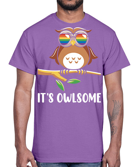 Funny Owl Gift Im Owlsome A TurtleRabbit 7#- owl- Cotton Tee