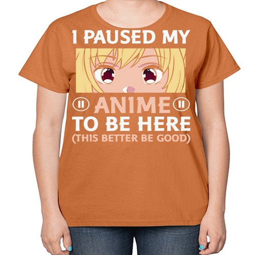 I Paused My Anime To 242# - anime-  Ladies T-Shirt