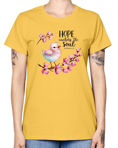hope anchors the soul 41# - birds -  Missy T-Shirt