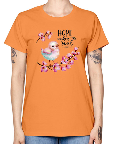hope anchors the soul 41# - birds -  Missy T-Shirt