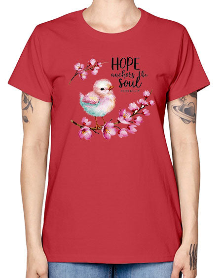 hope anchors the soul 41# - birds -  Missy T-Shirt